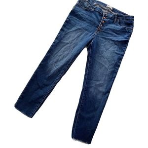 Madewell Women's 9” Mid-Rise Skinny Jeans in Dark Blue Denim